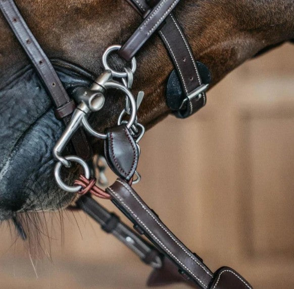 DYON DY'ON SHORT PELHAM STRAP DYON Marrone ACCESSORI PER IL CAVALLO AB99O BROWN 