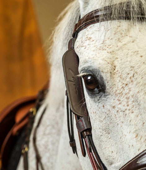 DYON DY'ON PARAOCCHI DYON Marrone ACCESSORI PER IL CAVALLO AB99K BROWN 