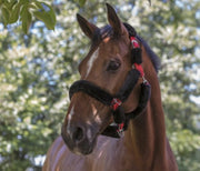NORTON Capezza Cavallo Con Pelo Norton 510015 222 BLACK/BLACK 