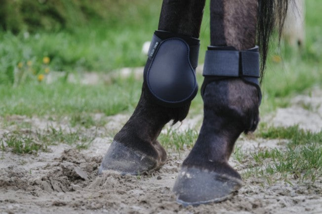 RIDING WORLD RIDING WORLD Paranocche Riding Wordl Fetlock Boots BLACK salvaschiena per sella inglese 53012 002 BLACK 