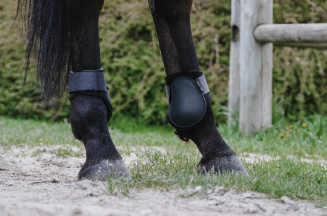 RIDING WORLD RIDING WORLD Paranocche Riding Wordl Fetlock Boots BLACK salvaschiena per sella inglese 53012 002 BLACK 