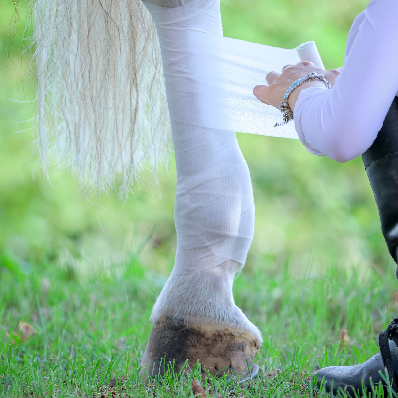 EQUESTRE ELITE Bendaggio Raffreddante Equestre Elite X Mascheroni Selleria BENRAF NEUTRO 