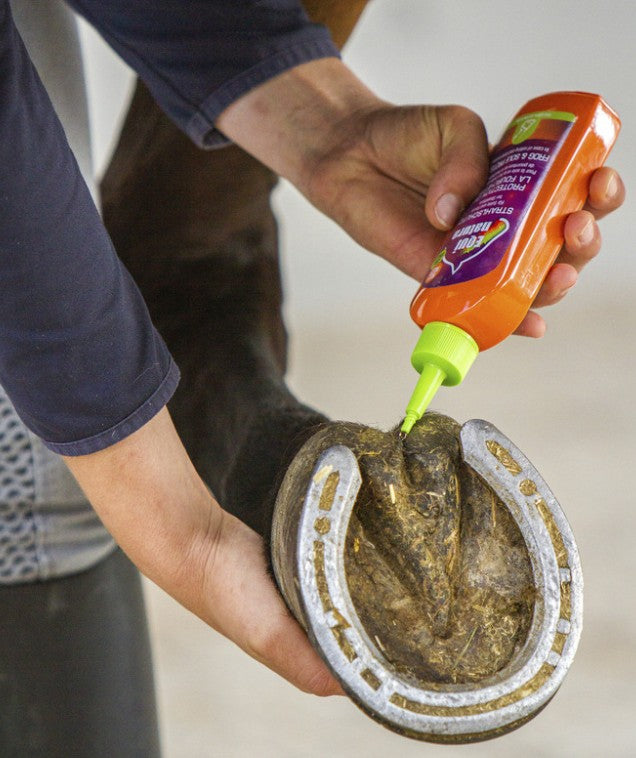 EQUINATURA Equinatura Frog Care 250 ml - trattamento protettivo per fettone e suola 715002 NEUTRO 