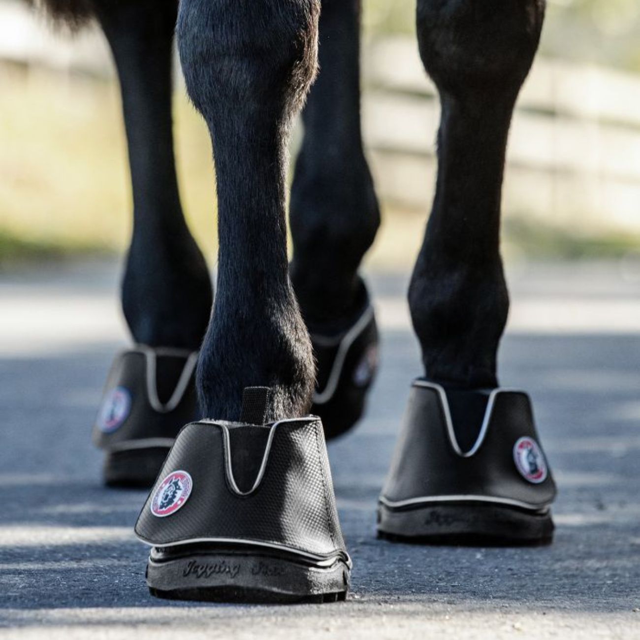EQUINE fusion Coppia Di Scarpette Equine Fusion® Active Jogging Shoe 590101 NERO 