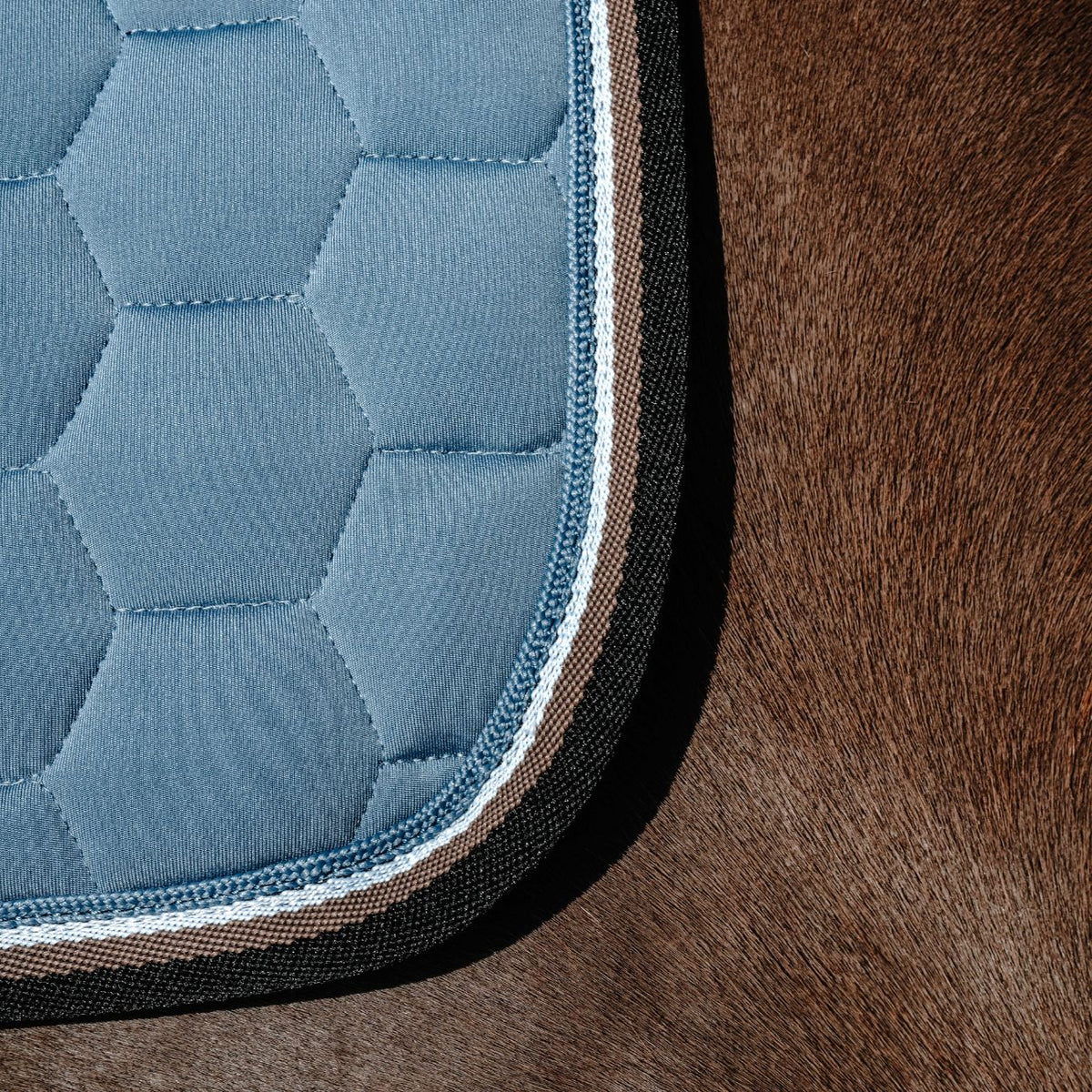 EQUITHEME Sottosella Coco Azzurro 2049130 19BLUE 
