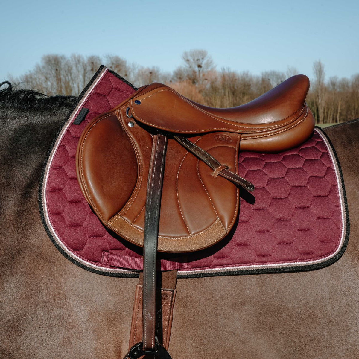 EQUITHEME Sottosella Coco Bordeaux 2049130 33BURGUNDY 