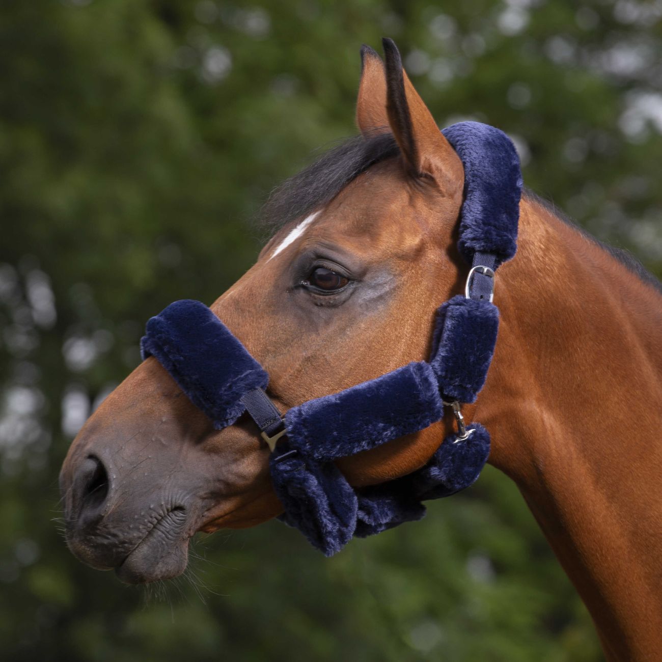 EQUITHEME Capezza Con Pelo Equitheme 207500 207NAVY 