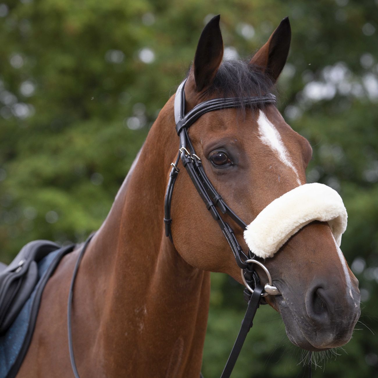 EQUITHEME EQUITHEME EQUITHEME Natural - ACCESSORI PER IL CAVALLO 207501 301NATURAL 