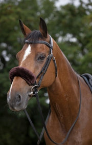EQUITHEME EQUITHEME EQUITHEME Brown - ACCESSORI PER IL CAVALLO 207501 304 BROWN 