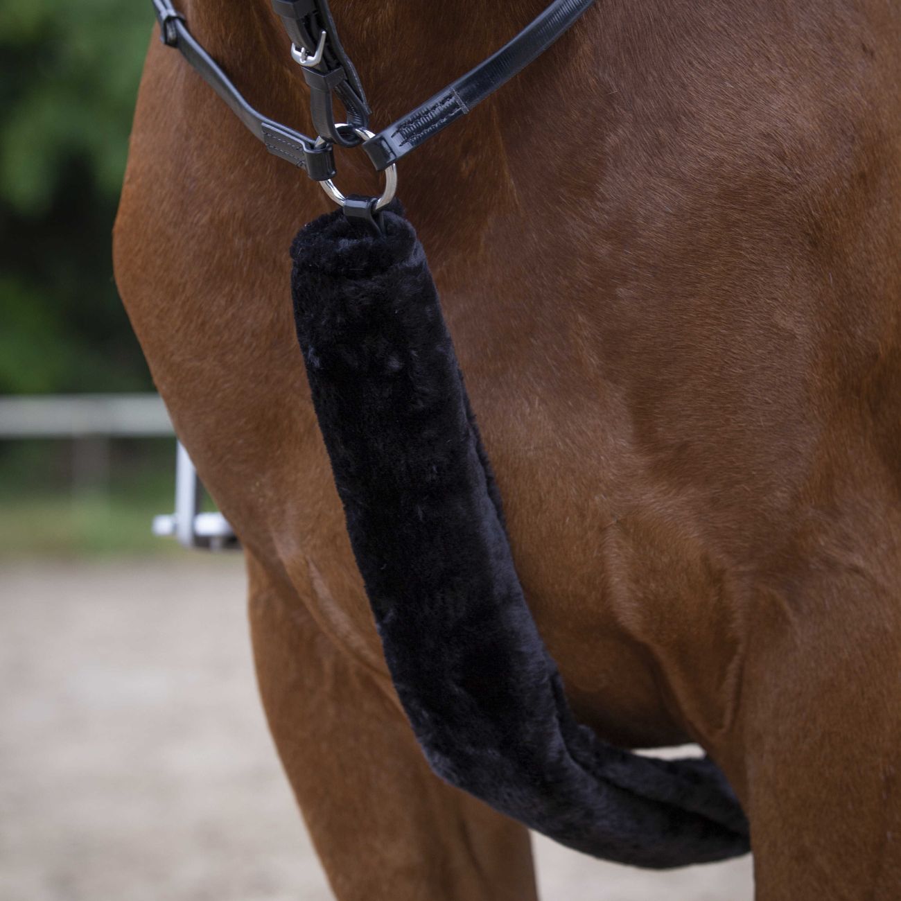 EQUITHEME Agnellino Per Pettorale Equitheme Nero 207503 302BLACK 