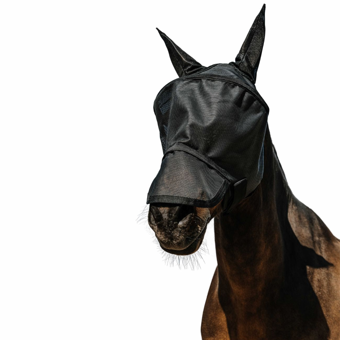 EQUITHEME EQUITHEME FLYMASK Black - CUFFIE ANTIRUMORE - ANTIMOSCHE [306020] 306020 BLACK 