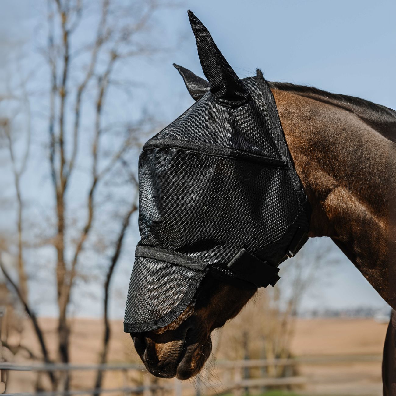 EQUITHEME EQUITHEME FLYMASK Black - CUFFIE ANTIRUMORE - ANTIMOSCHE [306020] 306020 BLACK 