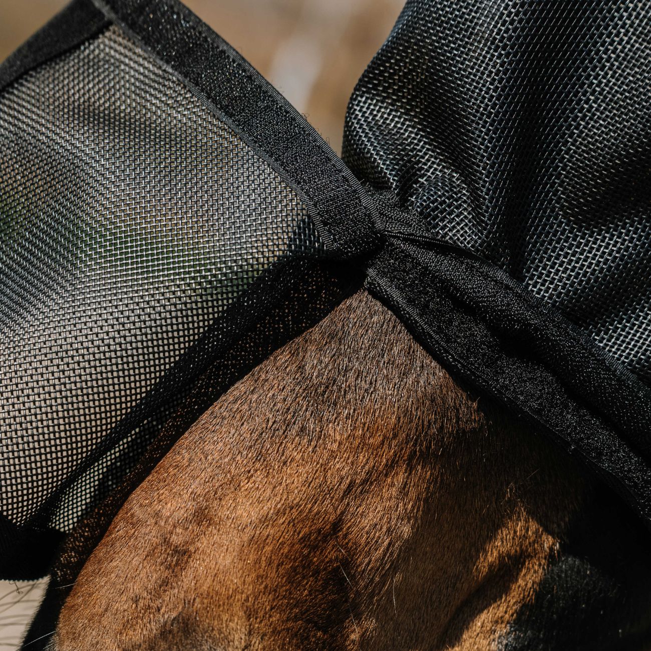 EQUITHEME EQUITHEME FLYMASK Black - CUFFIE ANTIRUMORE - ANTIMOSCHE [306020] 306020 BLACK 