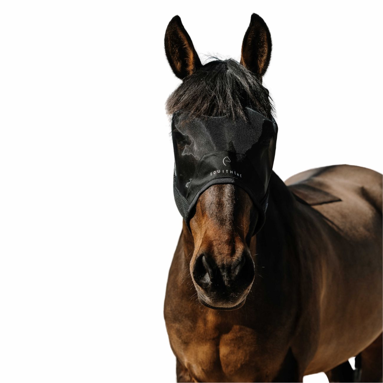 EQUITHEME EQUITHEME FLYMASK Black - CUFFIE ANTIRUMORE - ANTIMOSCHE [306024] 306024 BLACK 