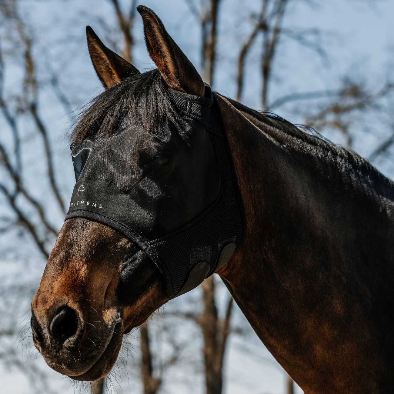 EQUITHEME EQUITHEME FLYMASK Black - CUFFIE ANTIRUMORE - ANTIMOSCHE [306024] 306024 BLACK 