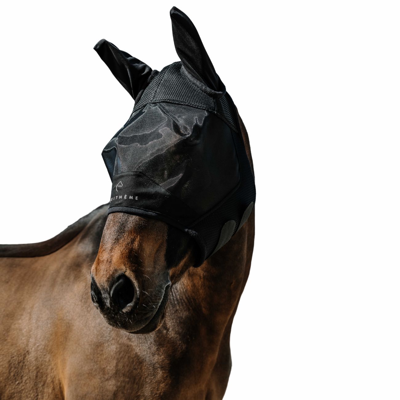 EQUITHEME EQUITHEME FLYMASK Black - CUFFIE ANTIRUMORE - ANTIMOSCHE [306025] 306025 BLACK 