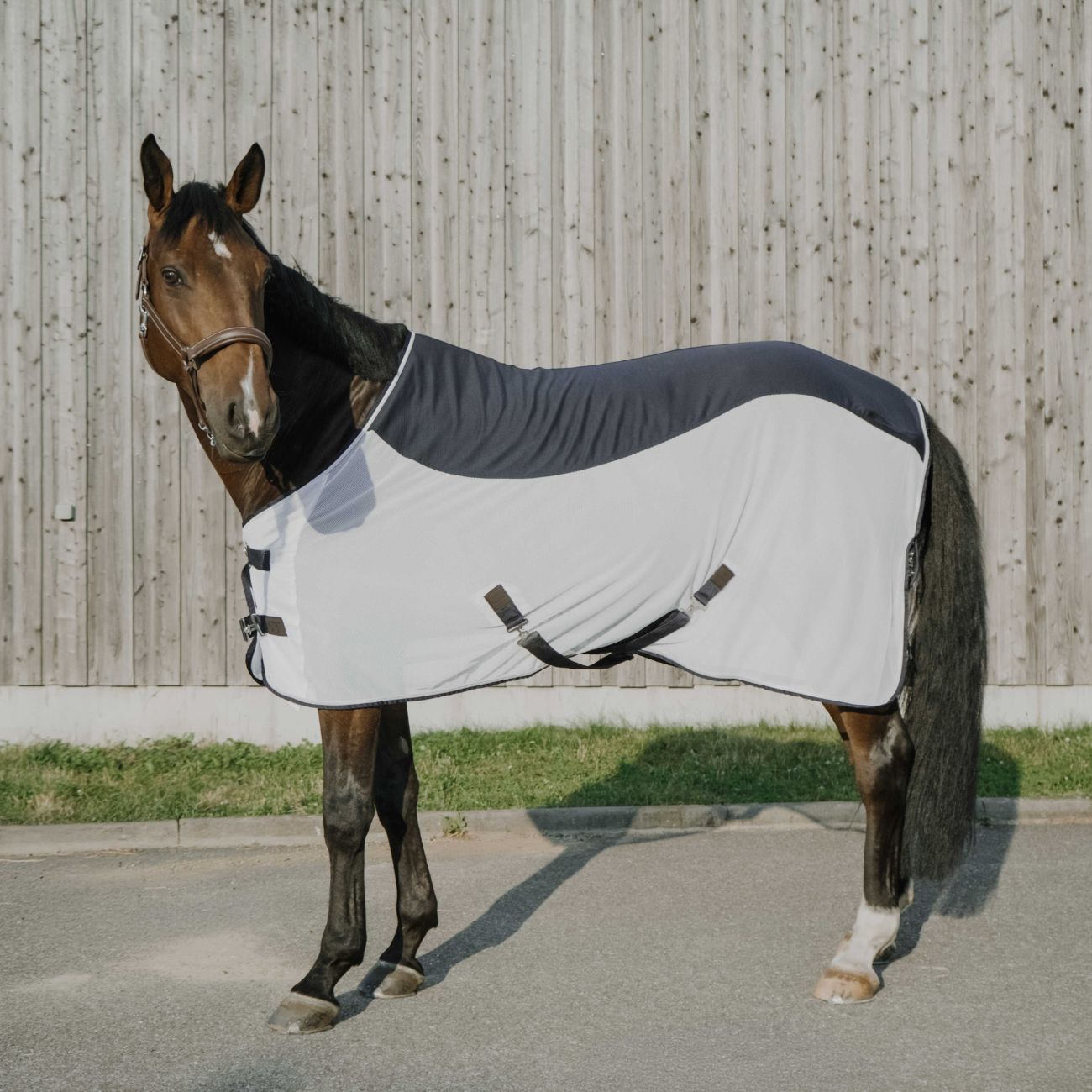 EQUITHEME Coperta Flycool Standard Equitheme 400003 NAVY/WHITE 
