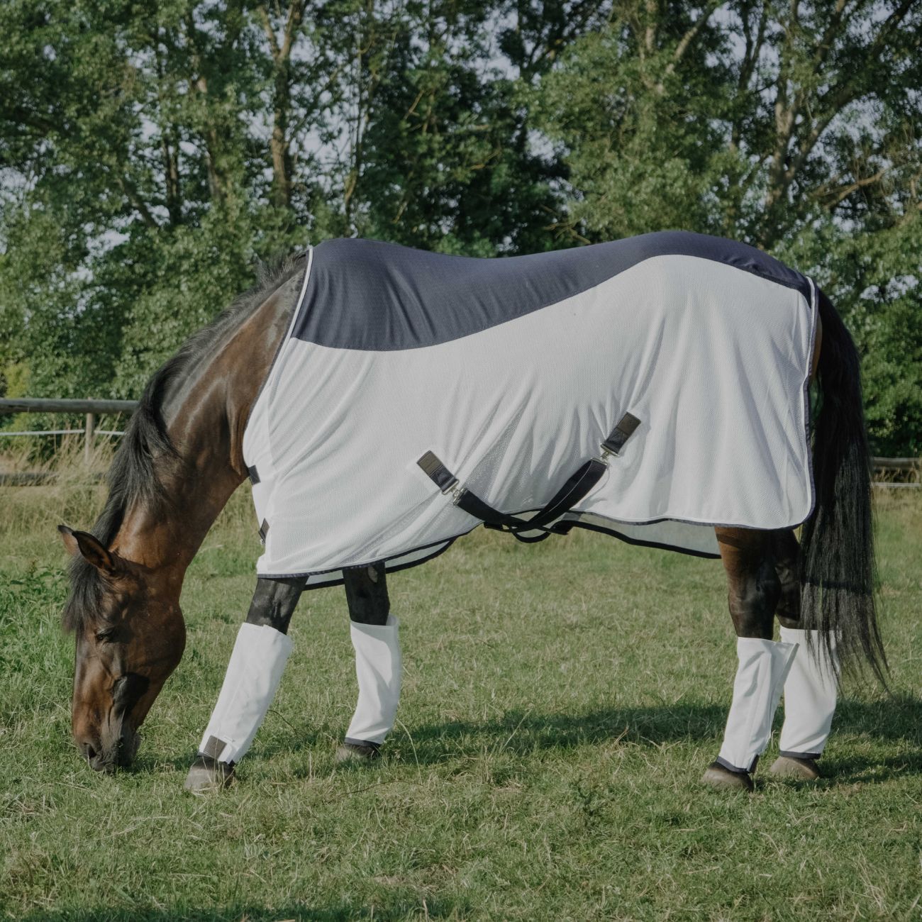 EQUITHEME Coperta Flycool Standard Equitheme 400003 NAVY/WHITE 