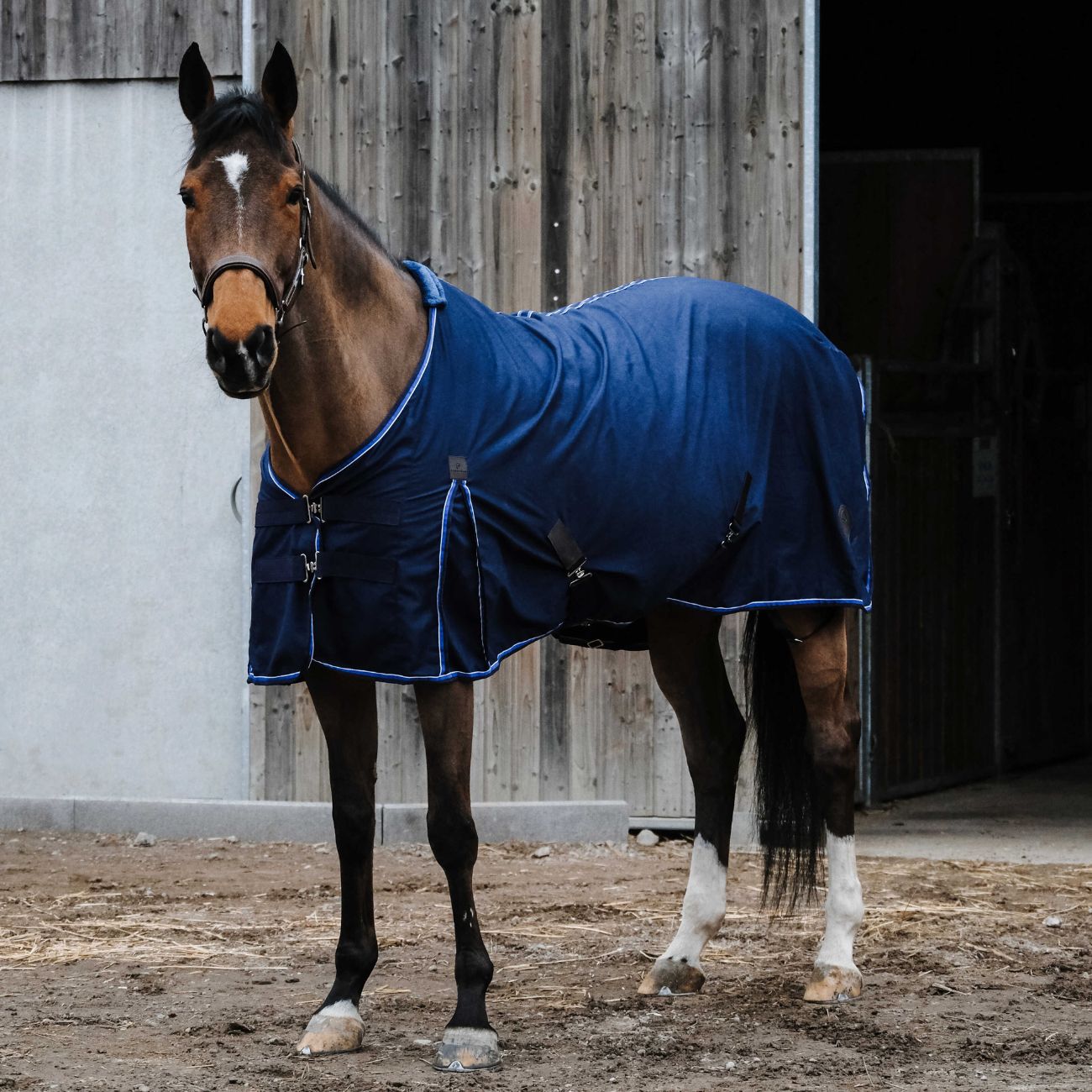 EQUITHEME Coperta Di Cototne Equitheme 400543 NAVY 