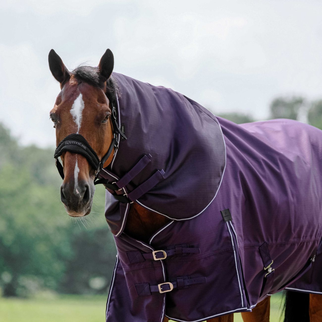 EQUITHEME Copricollo Tyrex 600D 0g Equitheme 400566 PLUM 