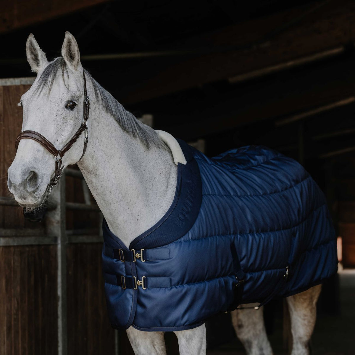 EQUITHEME Coperta Da Box Confortech 200g 400744 NAVY BLUE 