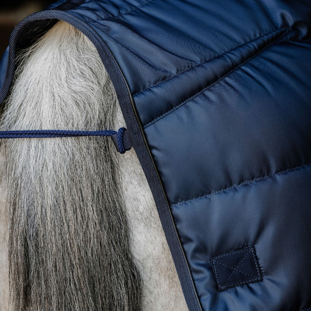 EQUITHEME Coperta Da Box Confortech 200g 400744 NAVY BLUE 