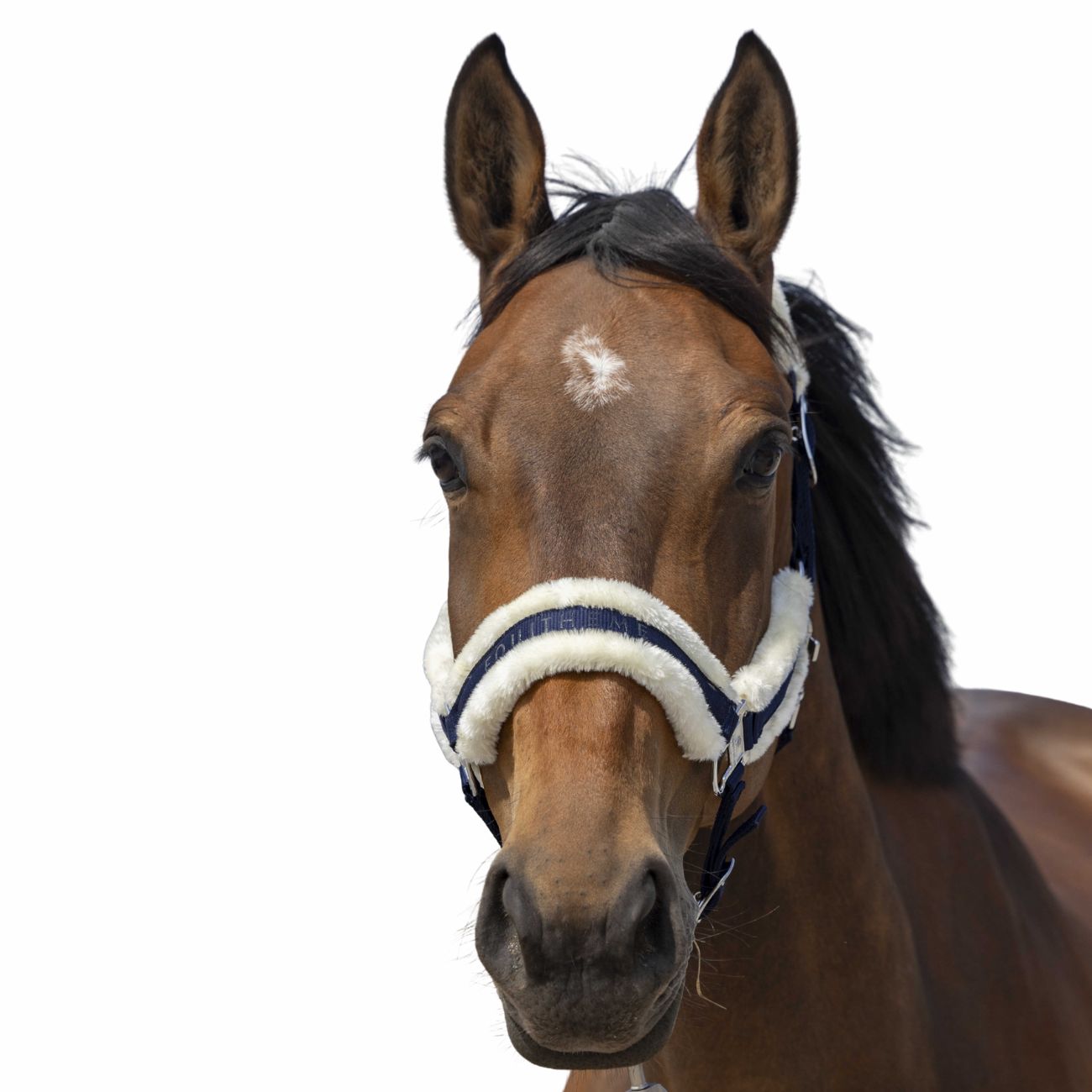 EQUITHEME Capezza Mounton Nylon Halter Equitheme 510253 307NAVY/WHITE 