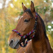 EQUITHEME EQUITHEME BRAID Fuchsia/Blue - CAPEZZINI E CAPEZZE 510628 311FUCHSIA/BLUE 