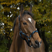 EQUITHEME EQUITHEME BRAID Dark Blues/Turquoise - CAPEZZINI E CAPEZZE [510629177] 510629 177DARK BLUES/TURQUOISE 