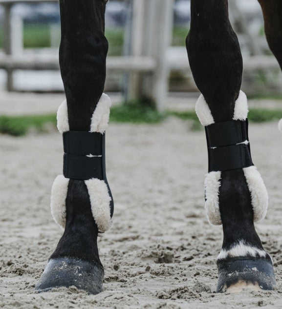 EQUITHEME EQUITHEME STINCHIERE Black - STINCHIERE [530818] 530818 BLACK 