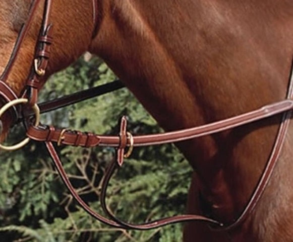 EURO RIDING EURO RIDING Martingala a collare in cuoio Marrone - stabilizza l'imboccatura 09EU13063 BROWN 