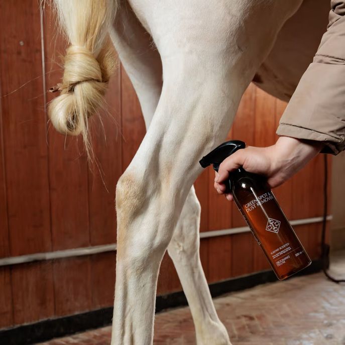 GROOMING DELUXE Shampoo A Secco Per Cavalli Grigi Green Spot&Dust Remover 500ml Grooming Deluxe 72112 NEUTRO 