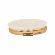 GROOMING DELUXE GROOMING DELUXE Small Overall Brush Soft Grooming Deluxe Brown nan Spazzole E Pulizia Cavallo 82164 05BROWN 