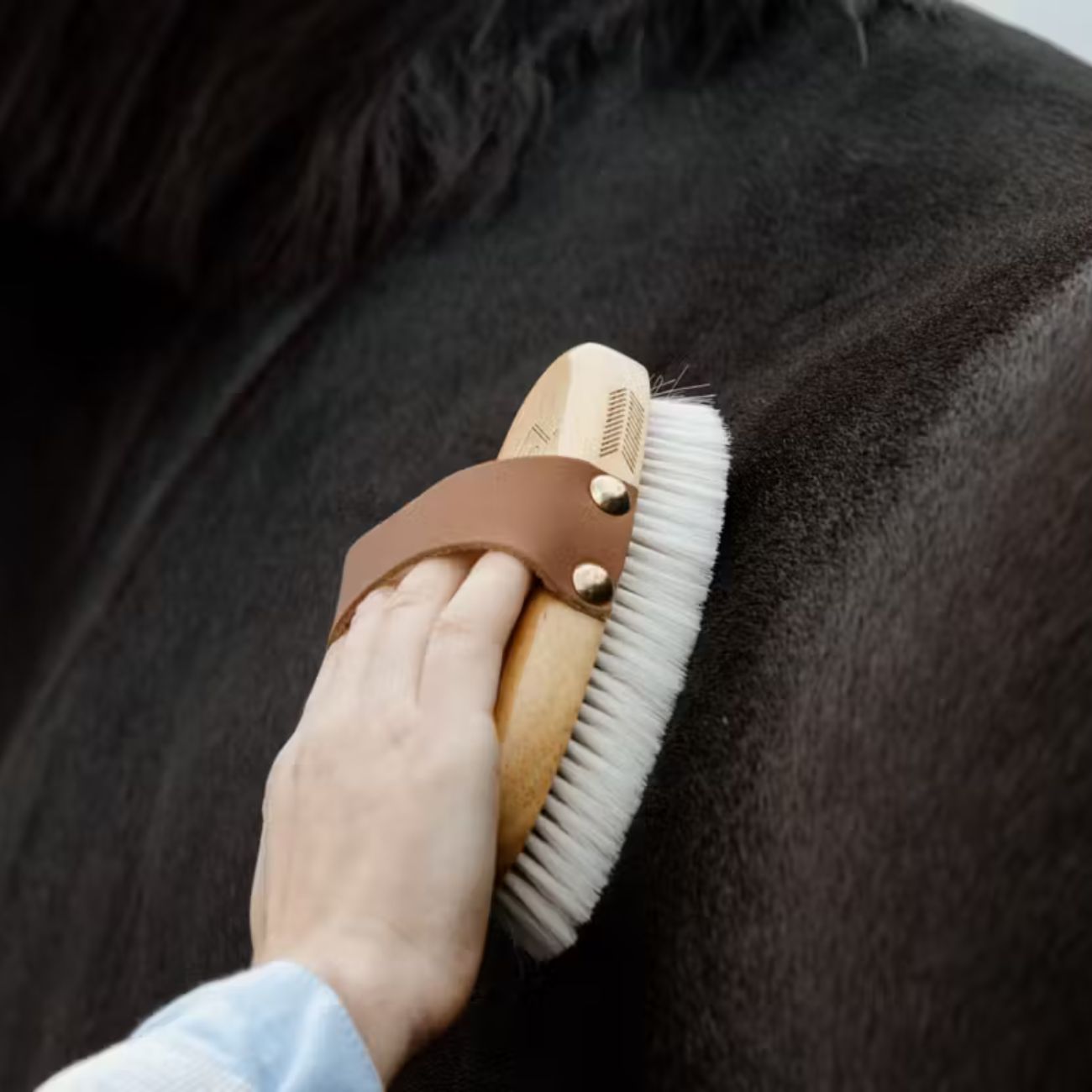 GROOMING DELUXE GROOMING DELUXE Small Overall Brush Soft Grooming Deluxe Brown nan Spazzole E Pulizia Cavallo 82164 05BROWN 