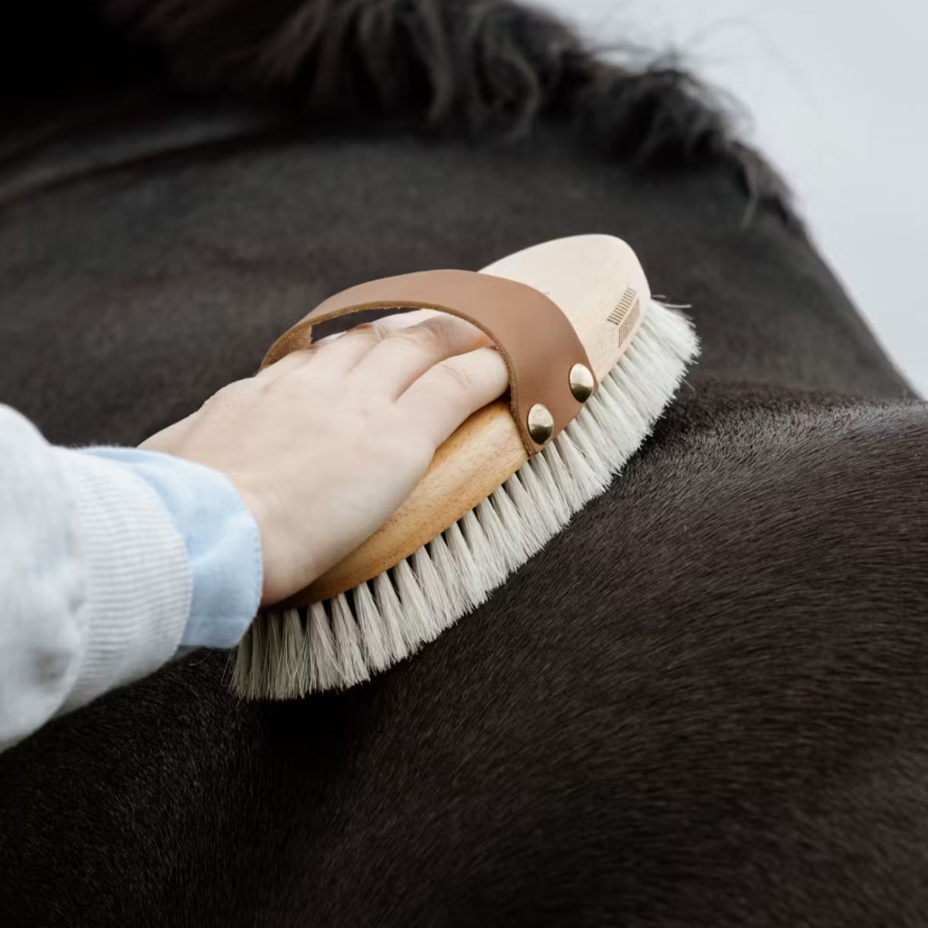 GROOMING DELUXE GROOMING DELUXE Overall Brush Body Shine Grooming Deluxe Brown nan Spazzole E Pulizia Cavallo 82165 05BROWN 