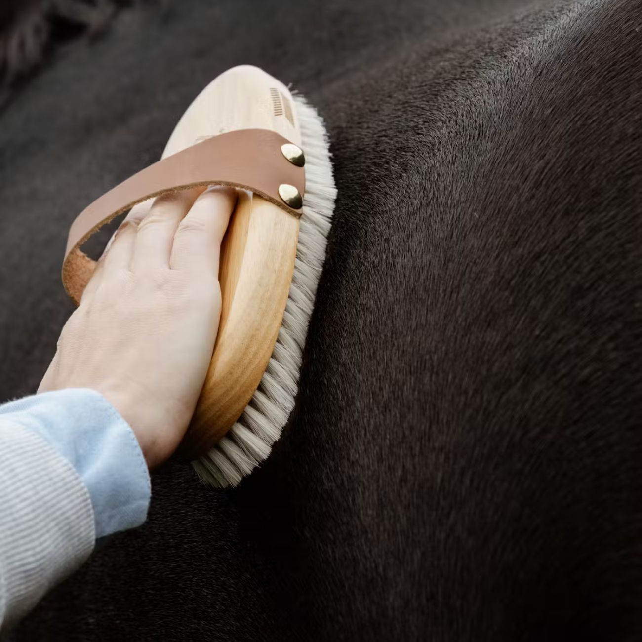 GROOMING DELUXE GROOMING DELUXE Overall Brush Body Soft Grooming Deluxe Brown nan Spazzole E Pulizia Cavallo 82166 05BROWN 