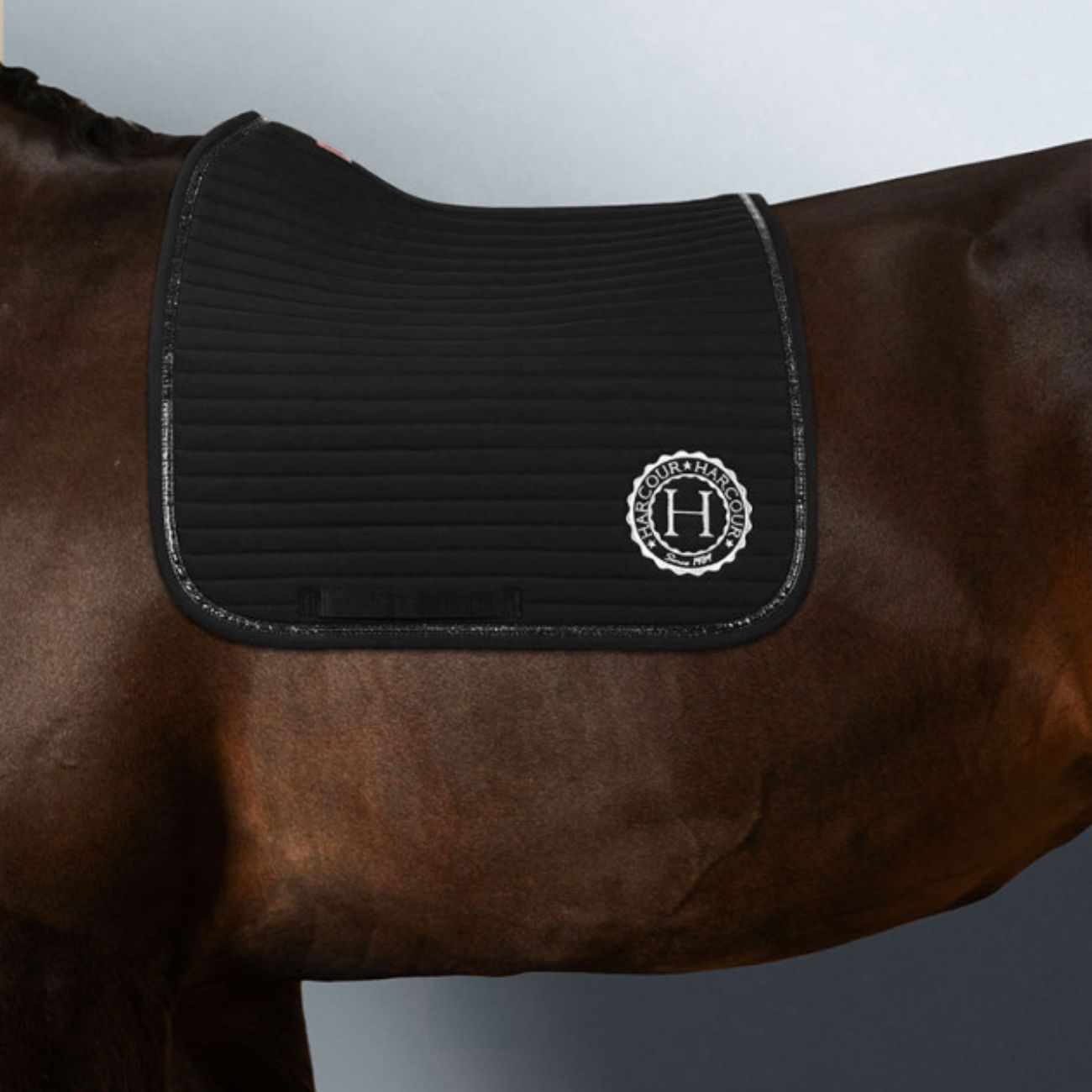 HARCOUR Sottosella Da Dressage Karembar Harcour Nero 3000440000445 BLACK 