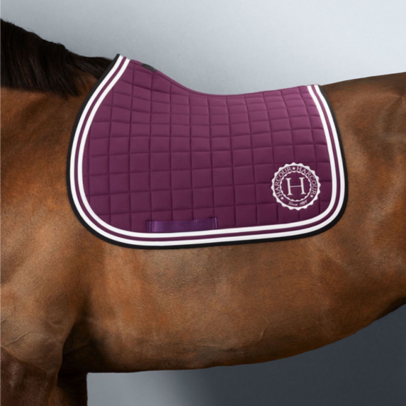 HARCOUR Sottosella Soft Harcour Viola 3000440088023 VIOLA 
