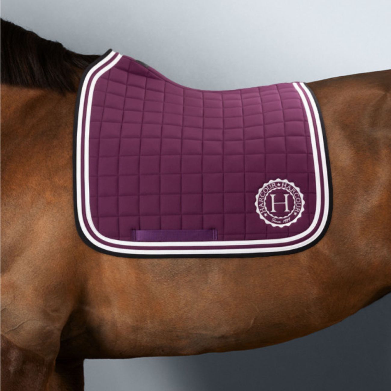 HARCOUR Sottosella Da Dressage Soft Harcour Viola 3000440088962 VIOLA 