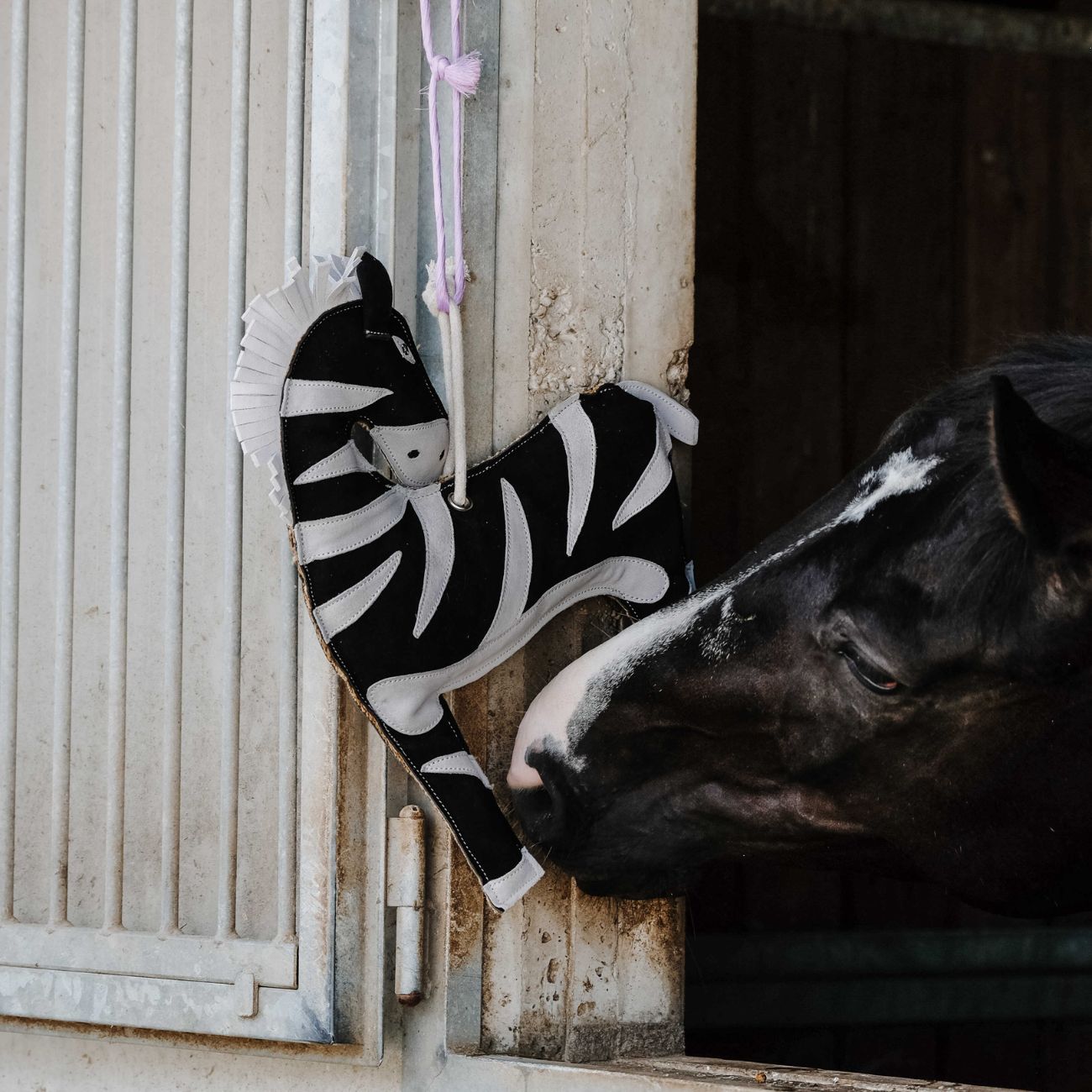 HIPPO-TONIC HIPPO-TONIC HORSE TOY ZEBRA HIPPO-TONIC Bianco ACCESSORI CAVALLO 700996002 BIANCO/NERO 