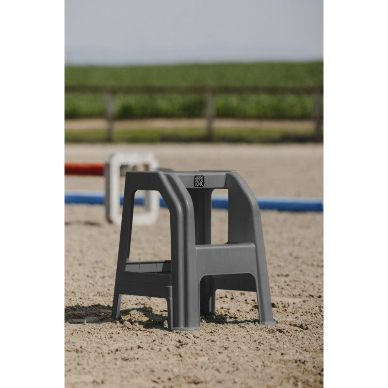 HIPPO-TONIC HIPPO-TONIC SCALETTA CON DUE GRADINI Grigio ACCESSORI PER LA SCUDERIA 704004 001GREY 