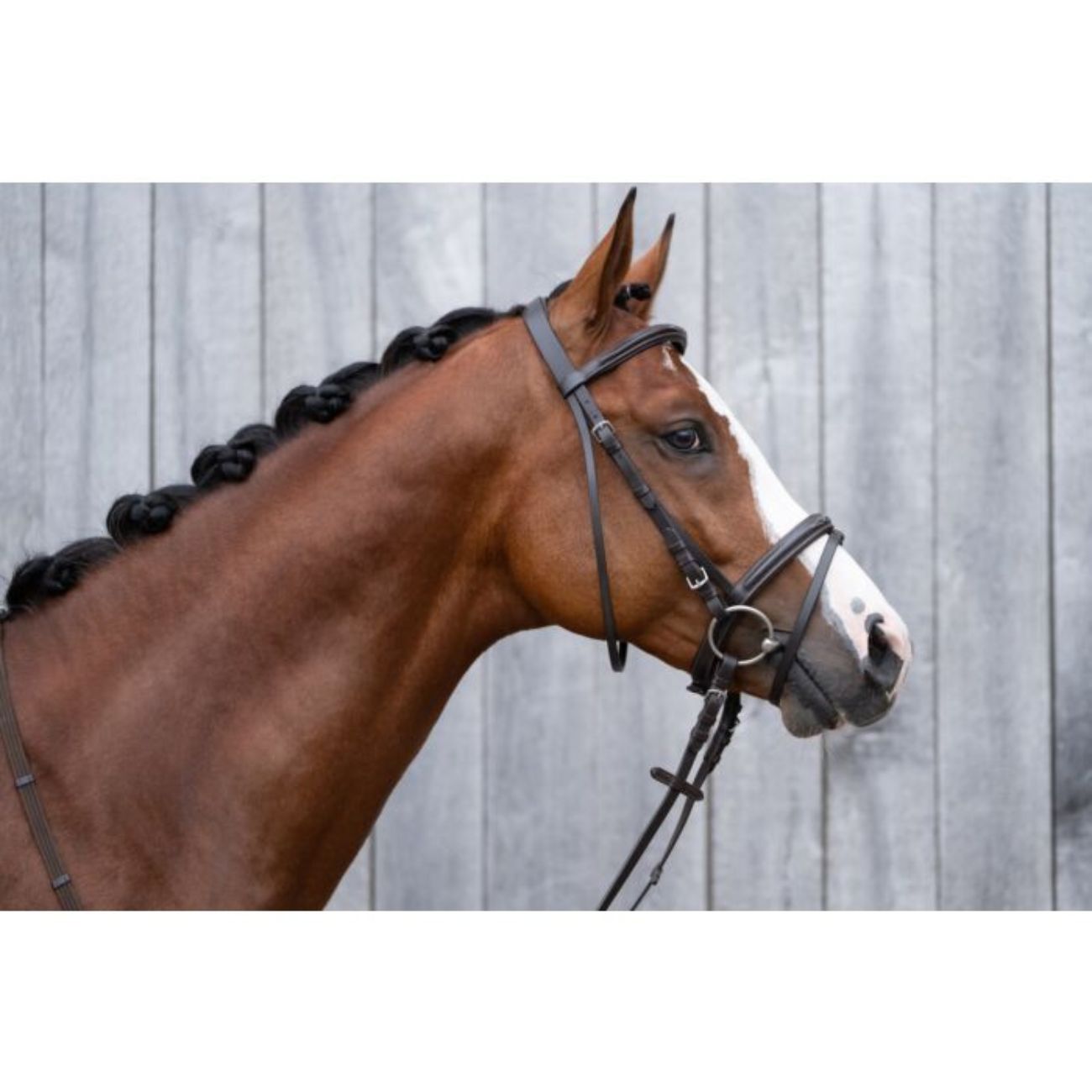 HKM SPORT EQUIPMENT Testiera Jana HKM Marrone 1089 2400BROWN 