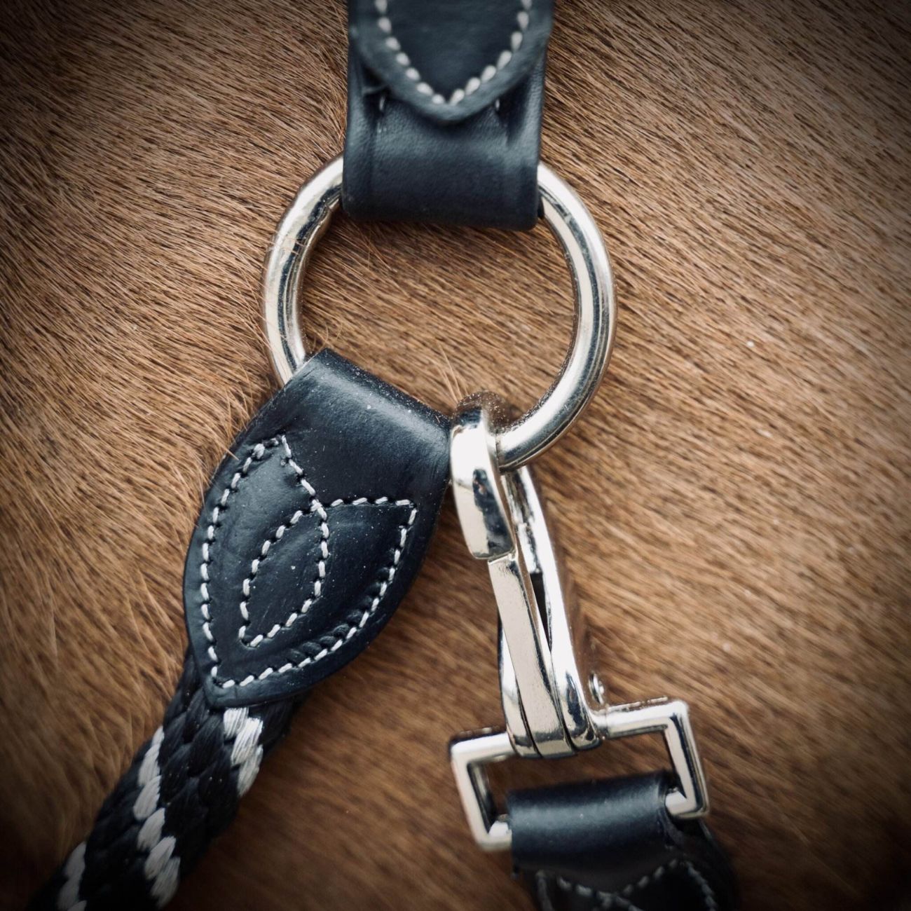 HORSENA HORSENA CAPEZZA ANATOMICA IN PELLE IMBOTTITA E CORDA CON INSERTI IN LUREX MODELLO "SOFT TOUCH" BLACK/SILVER HR10700 BLACK/SILVER 