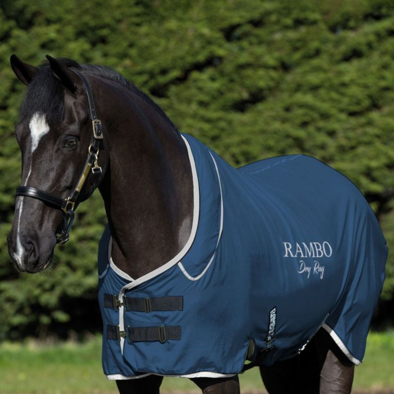HORSEWARE Coperta Rambo Dry Rug Supreme Horseware 09HOABAM72 BLUE BLACK WHITE 
