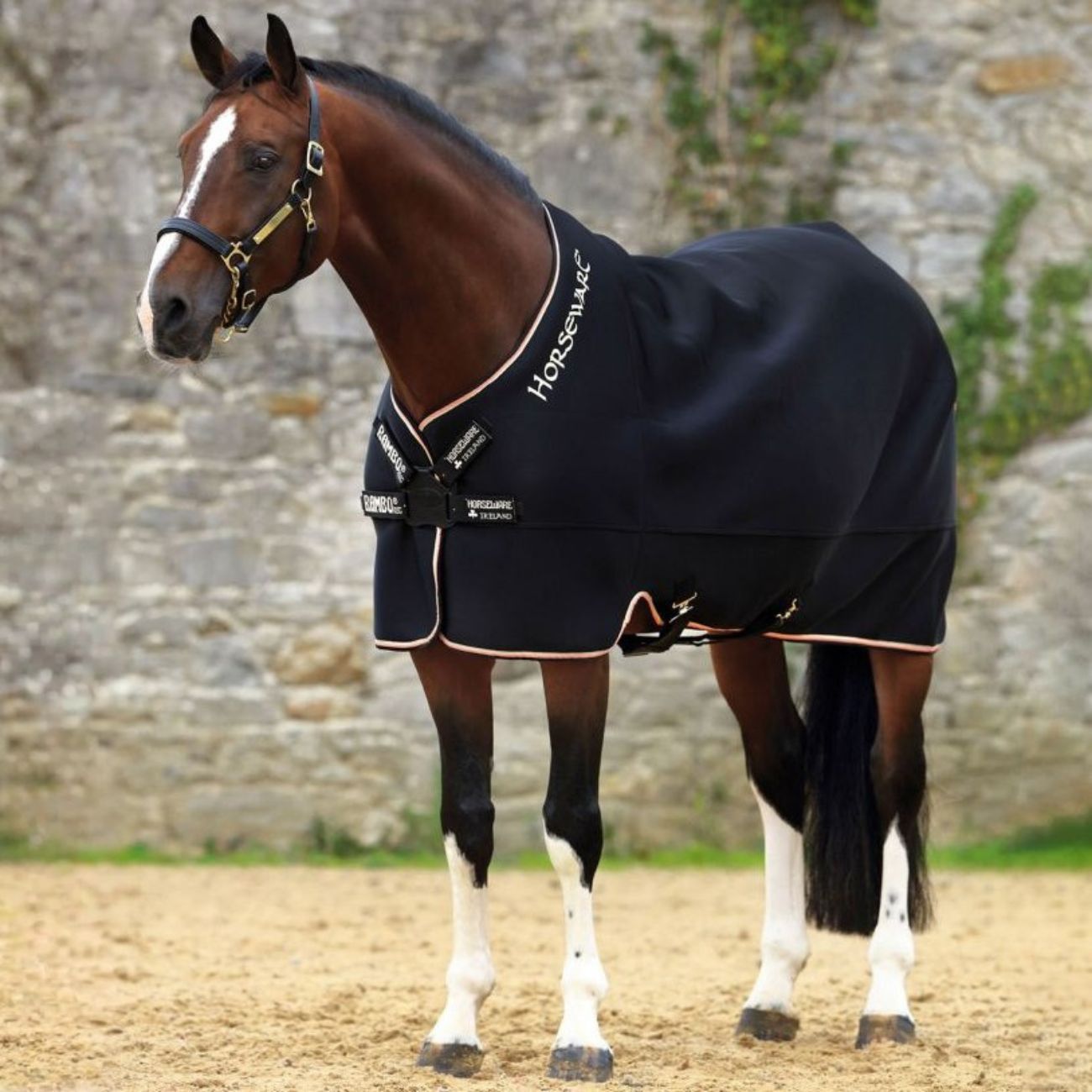 HORSEWARE Coperta Airrmax Cooler Disc Front Horseware 09HOACAT74 BLK TAN ORAN BLK 
