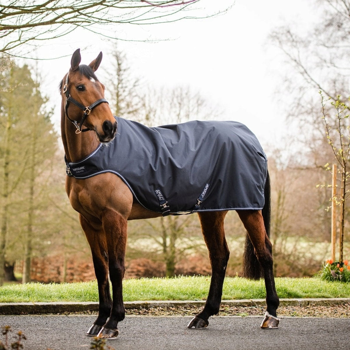 HORSEWARE Coprireni Amigo Walker Rug 100gr 09HOAGRW41 NAVY NAVY WHITE 