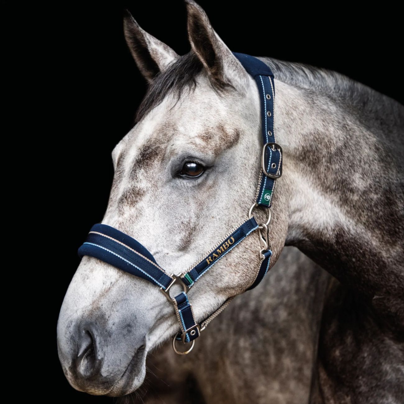 HORSEWARE Capezza Imbottitta Con Lunghina In Nylon 09HODHAG40 NAVY 