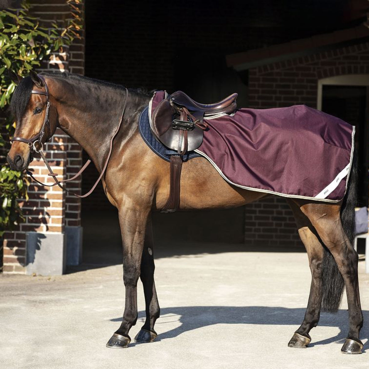 HORSEWARE Horseware COPRIRENI IMPERMEABILE Fig navy teal nan coprireni 31HO-AGPC90 FIG NAVY TEAL 