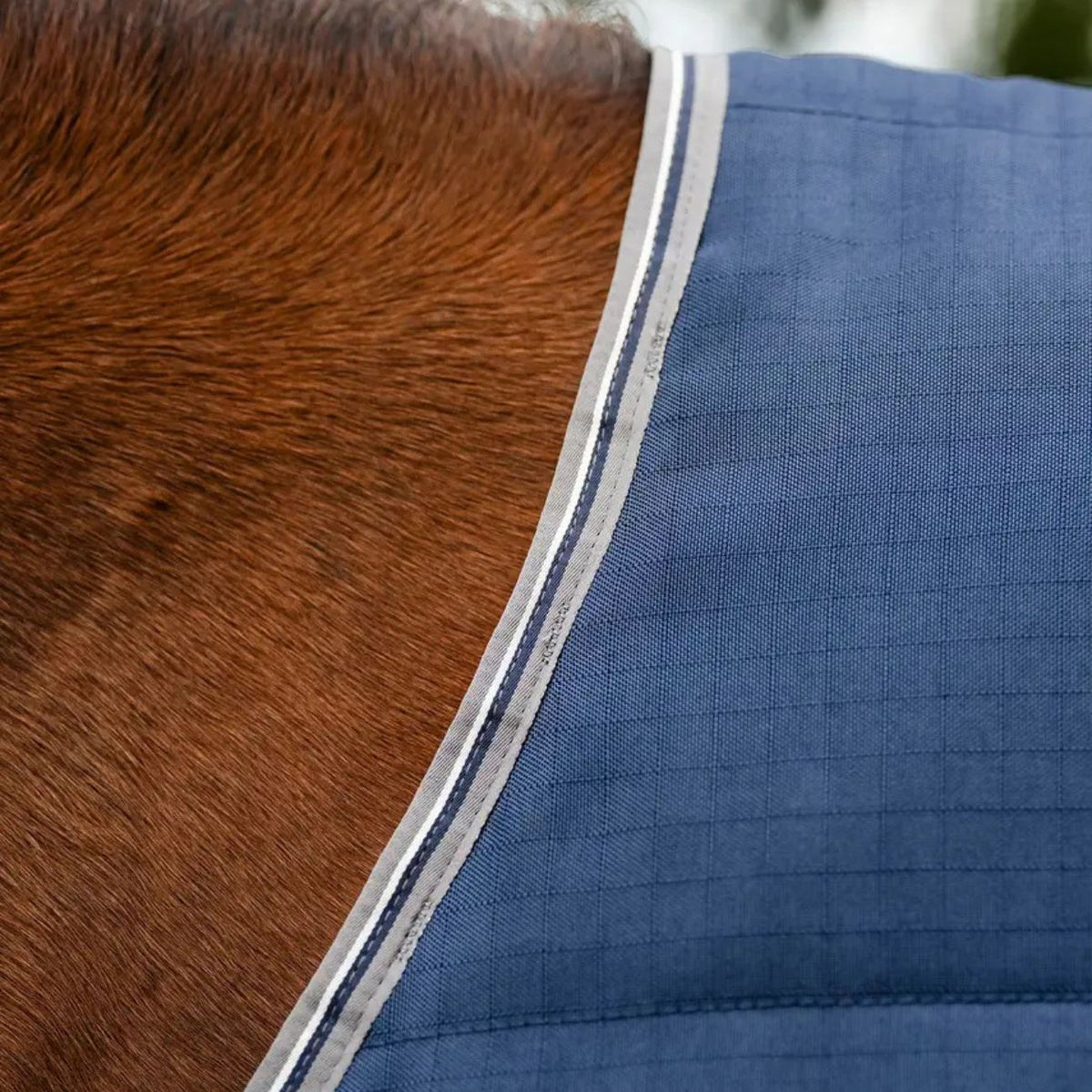 HORSEWARE Coperta Da Box Rambo Stable Rug 100gr AAB001 NAVY/GREY 