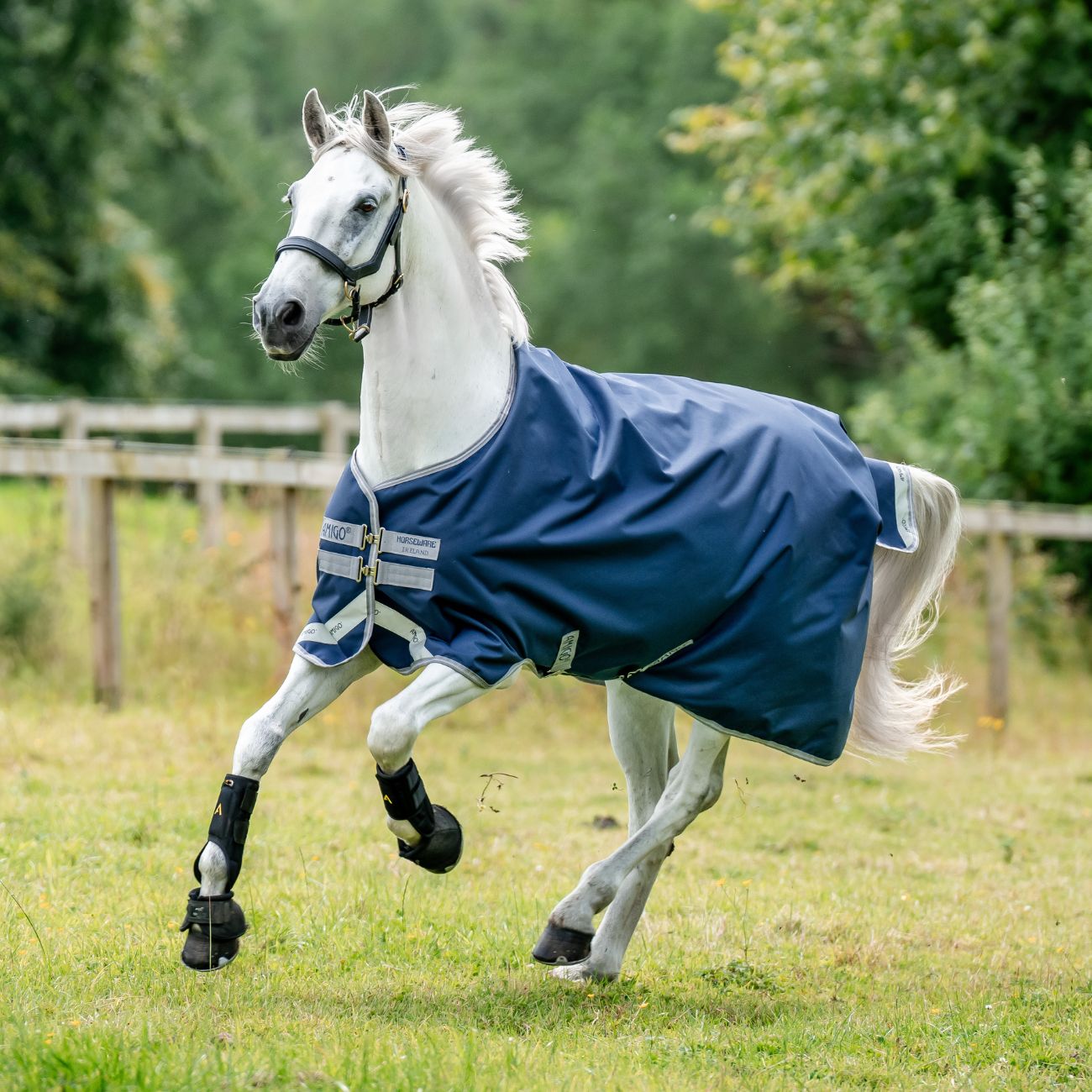 HORSEWARE Coperta Da Paddock Amigo Bravo12 100gr Horseware AARA16-BBE0 NAVY/ELECTRICBLUE 